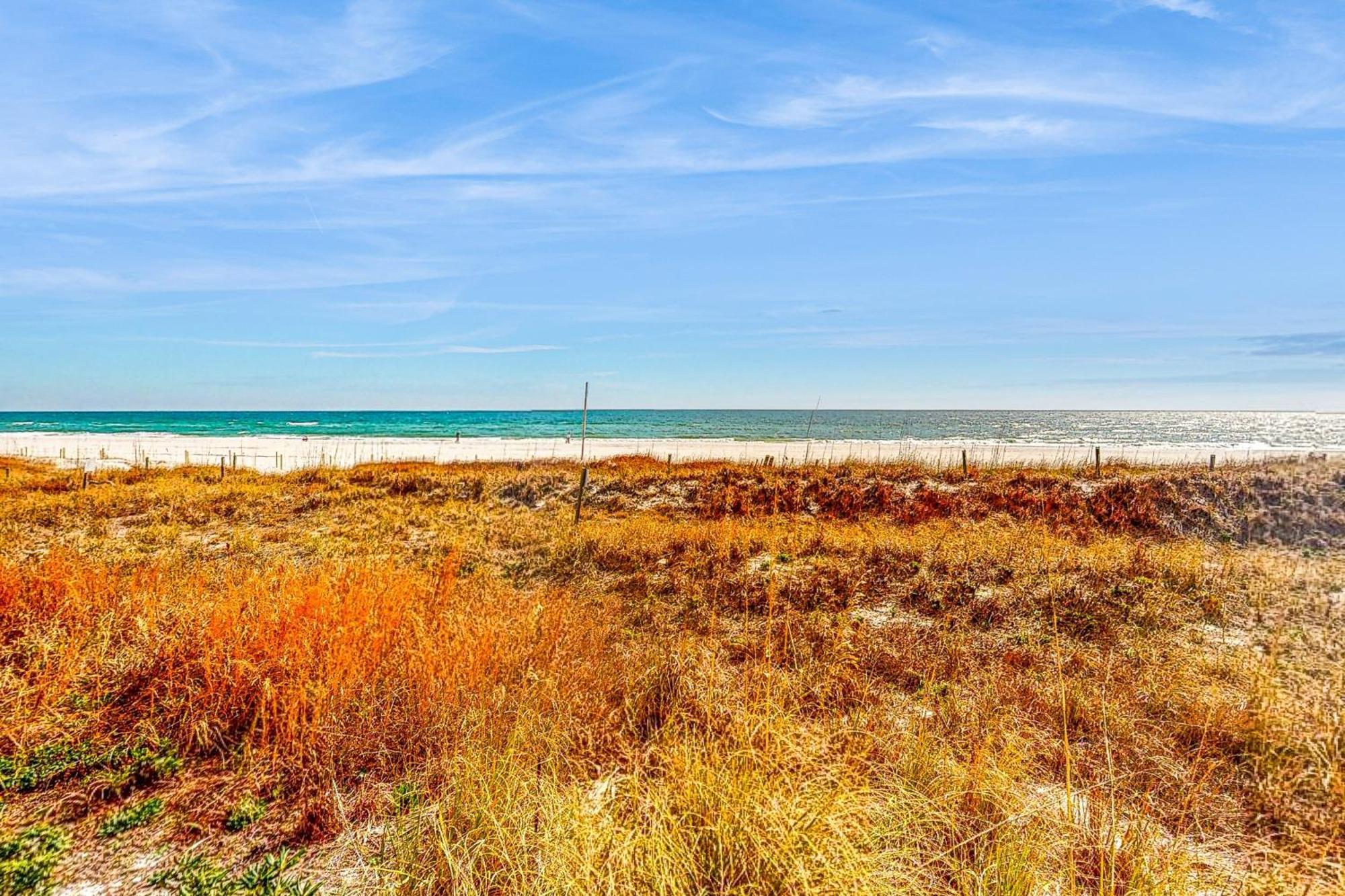 Appartamento The Enclave 606 Orange Beach Esterno foto